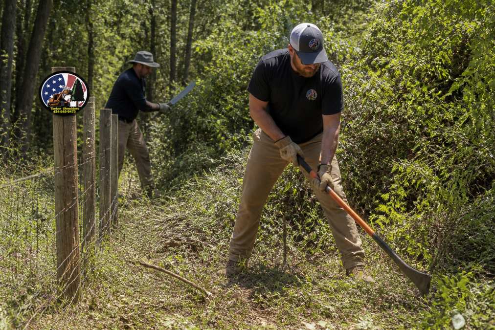 Landowner using a brush hook and machete to clear dense brush and small saplings along a property line on a sunny day, with trees visible in background