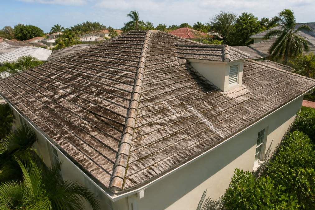 Affordable Coverage for Older Florida Roofs