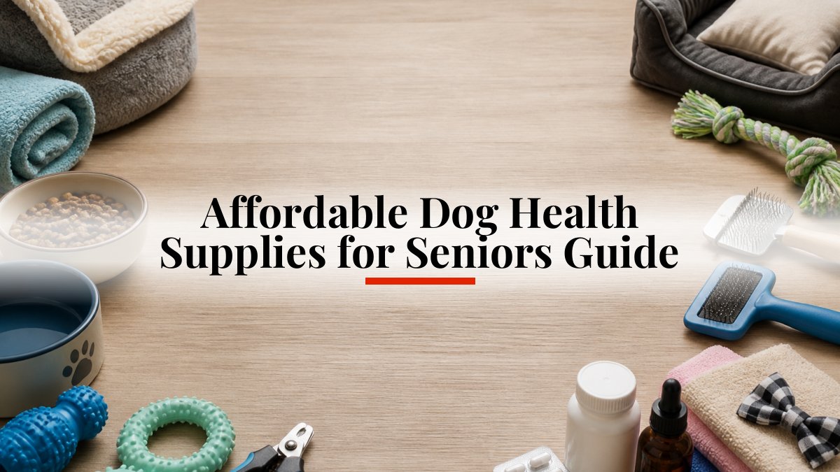 Affordable Dog Health Supplies for Seniors Guide