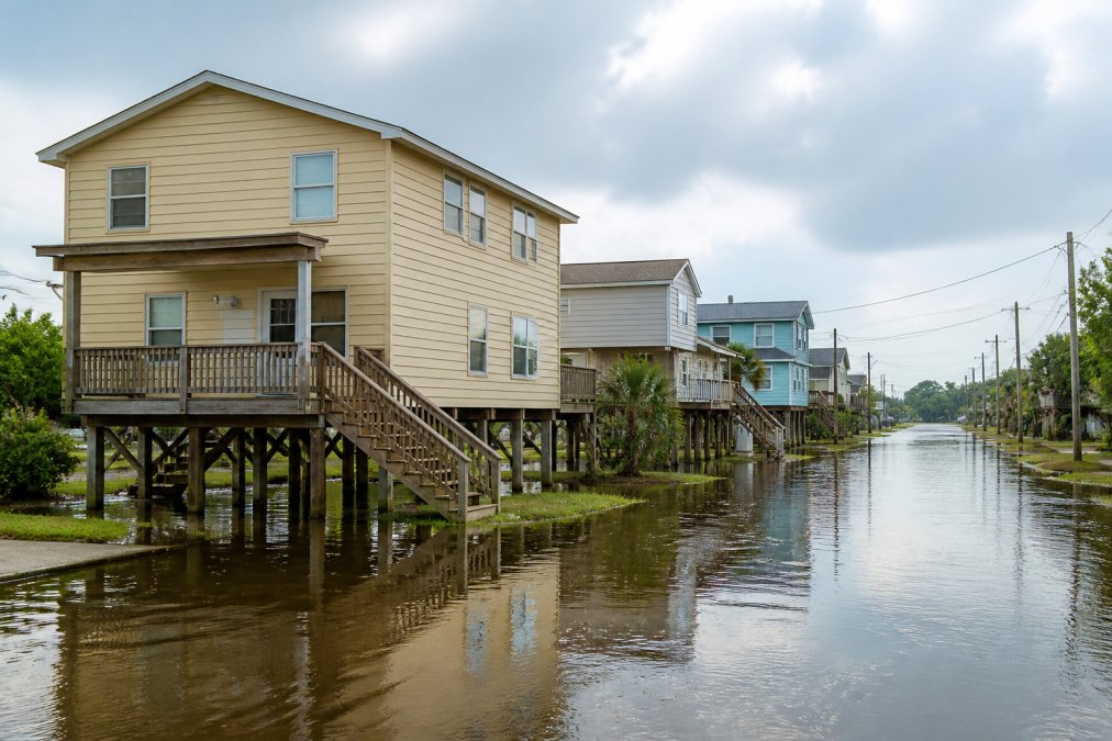 Affordable Home Insurance for High-Risk Areas