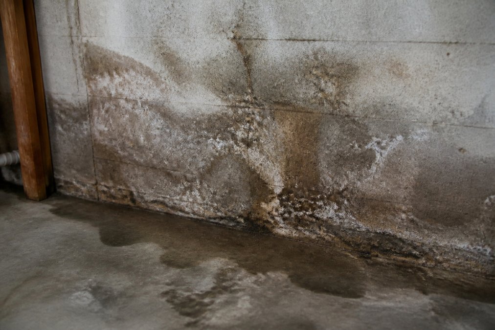 Close-up of water damage on a basement wall with visible discoloration, moisture stains, and mineral deposits from leaking pipes