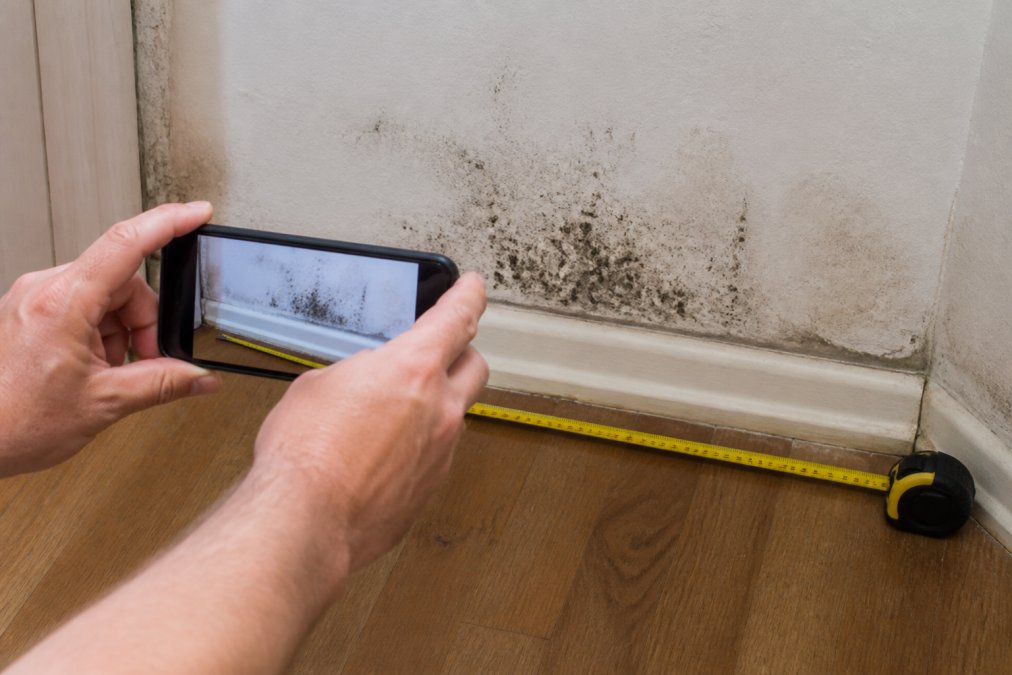 A person's hands holding a smartphone to photograph dark mold growth along the baseboard of a wall in a residential room, with a measuring tape visible for scale