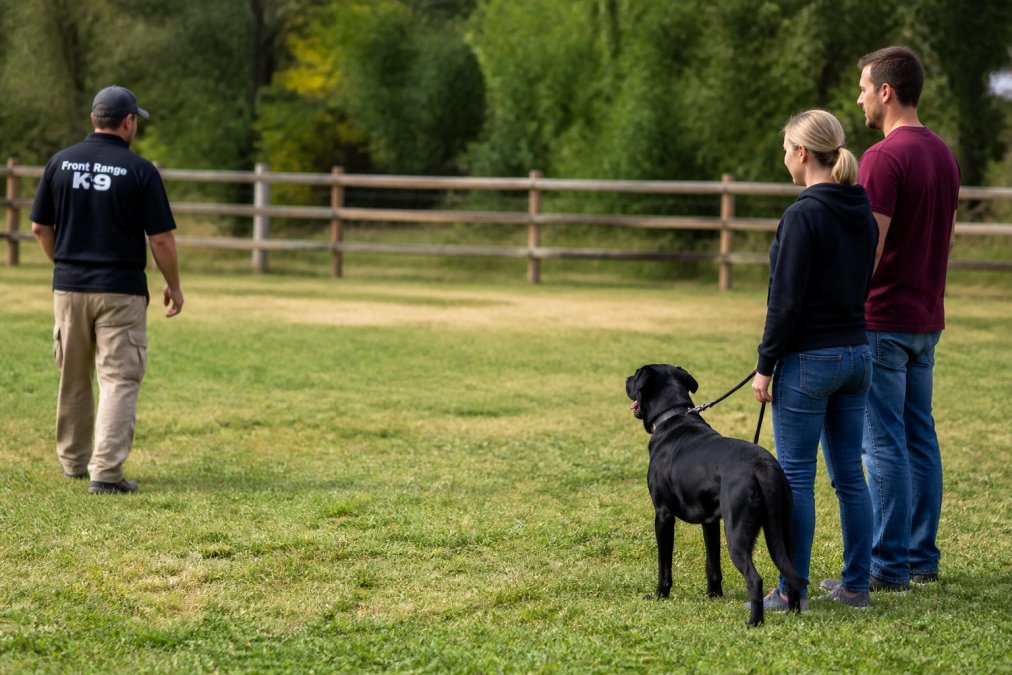 A calm, structured training session in a grassy outdoor space: a professional trainer stands at a distance observing a dog on a loose leash while the owner stands beside them, both watching the dog's body language with focused, relaxed posture