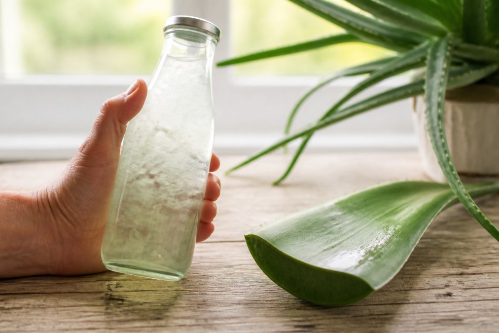Close-up of a hand holding a clear glass bottle of aloe vera drink next to a fresh aloe vera leaf on a light wooden table, soft daylight from a window