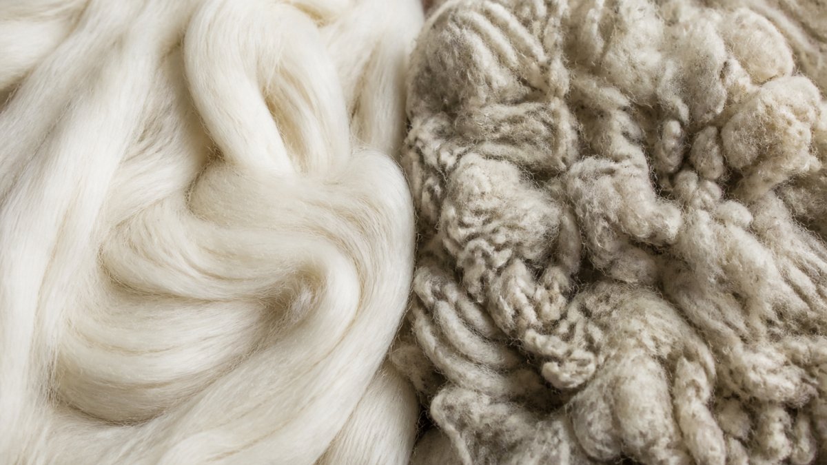 Close-up of soft alpaca fiber texture next to traditional sheep wool showing the difference in fiber smoothness and structure