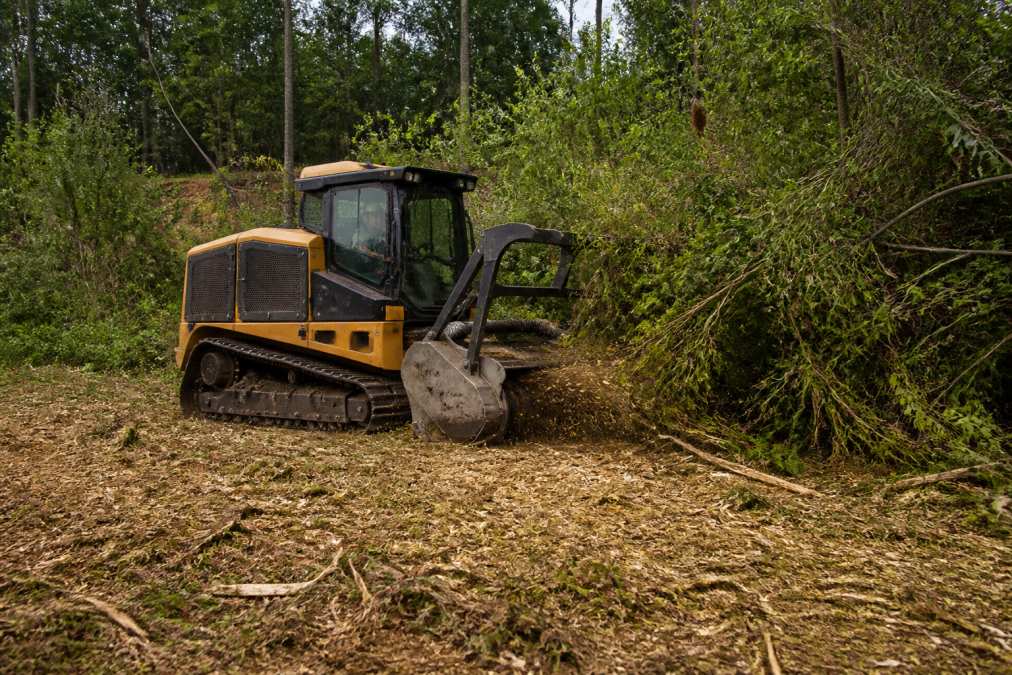 Operator in enclosed cab of tracked forestry mulching machine actively grinding brush and small trees, with cleared mulch visible on ground and dense uncleared brush in background