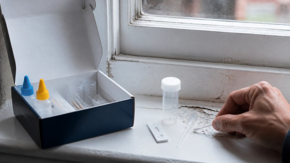 Alternatives to DIY Lead Test Kits for Rentals