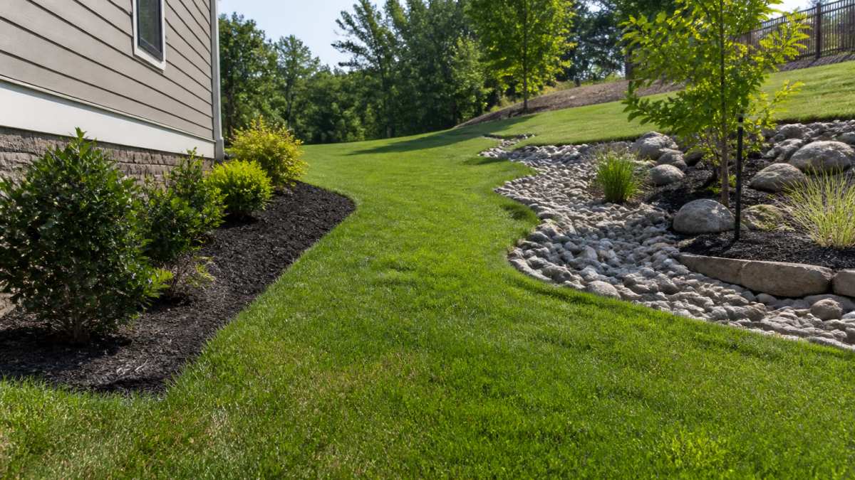 Residential backyard showing sloped landscape with proper grade directing water away from house foundation toward landscaped drainage area, natural afternoon lighting