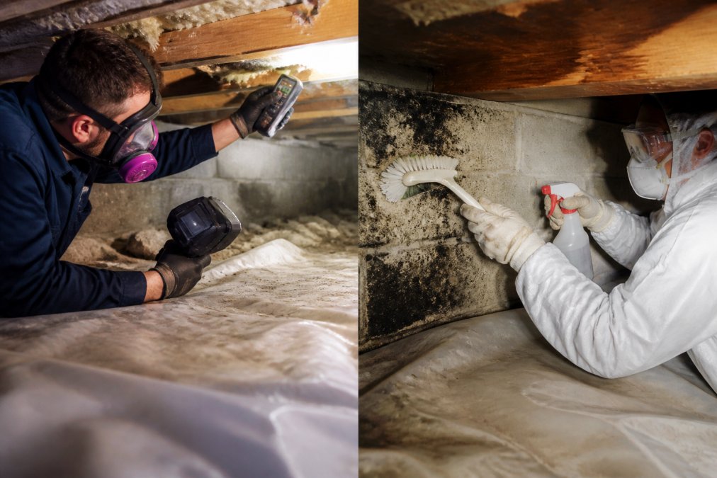 IICRC-certified technician using moisture meters for a mold removal before listing inspection in a crawl space