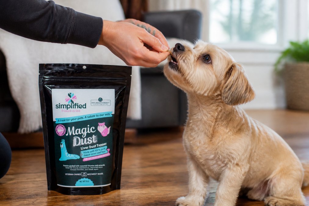 Close-up of a small dog eagerly taking a freeze-dried beef liver treat from an owner's outstretched hand during an indoor training session on a warm wooden floor, natural window light