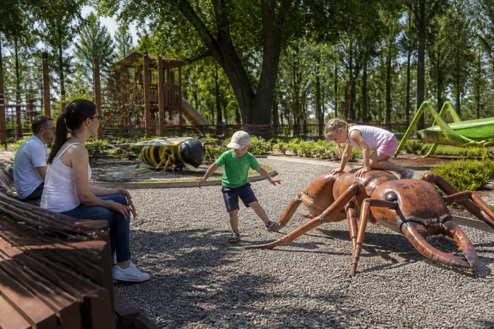 Dzieci bawią się na placu zabaw w parku edukacyjnym, eksplorując gigantyczne modele owadów, słoneczny dzień, rodzice obserwują z drewnianych ławek pod drzewami