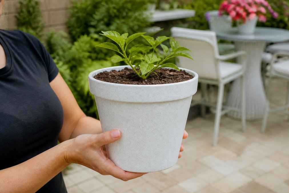 Close-up of hands holding a sturdy white granite polypropylene planter with a green seedling, with a blurred patio and garden in the background