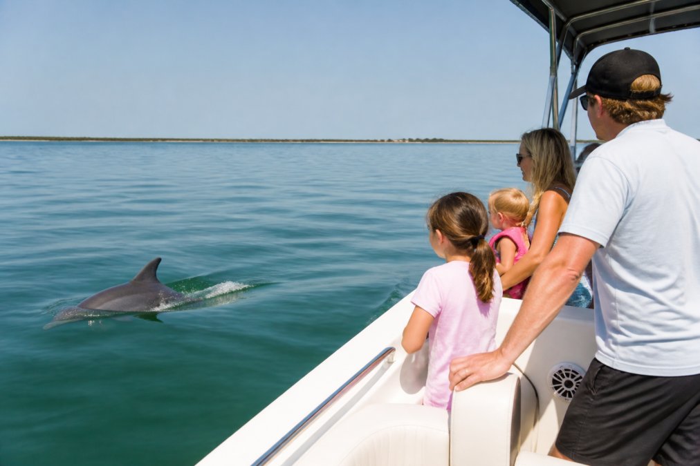 AMI Dolphin Tours Alternative for Families: Private Charters