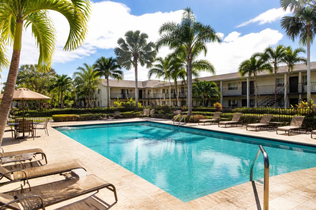 Resort-style swimming pool with lounge chairs, palm trees, and lush landscaping in a garden-style apartment community during sunny afternoon