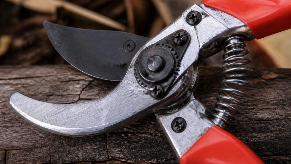 Close-up showing the sharp bypass blade, central pivot bolt, and sturdy tension spring of garden pruners.