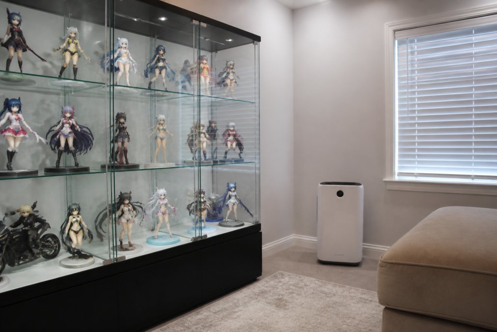 Collector's display shelf with anime figures in mint condition, housed in clear acrylic display cases with UV-protective glass, positioned away from direct sunlight in a climate-controlled room with neutral background