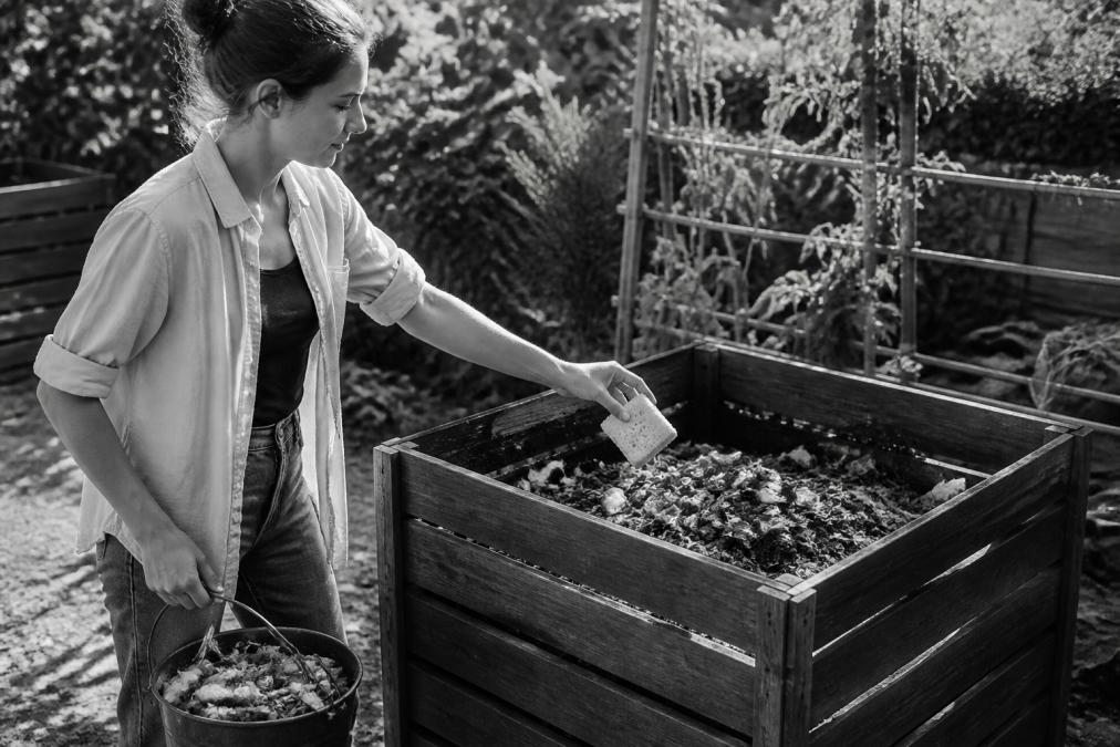 Person placing a used cellulose sponge among vegetable scraps in a wooden compost bin to test compostable cleaning products.