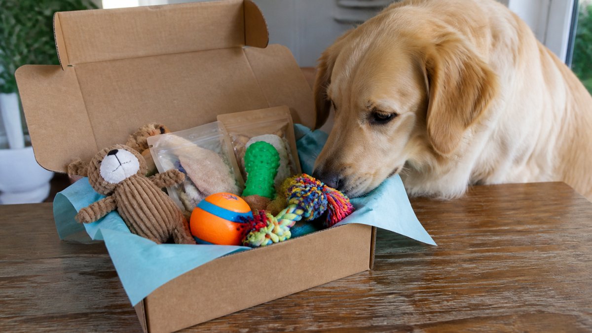 Open pet subscription box displaying colorful toys, treat packages, and accessories arranged on a wooden table with a curious golden retriever sniffing the contents