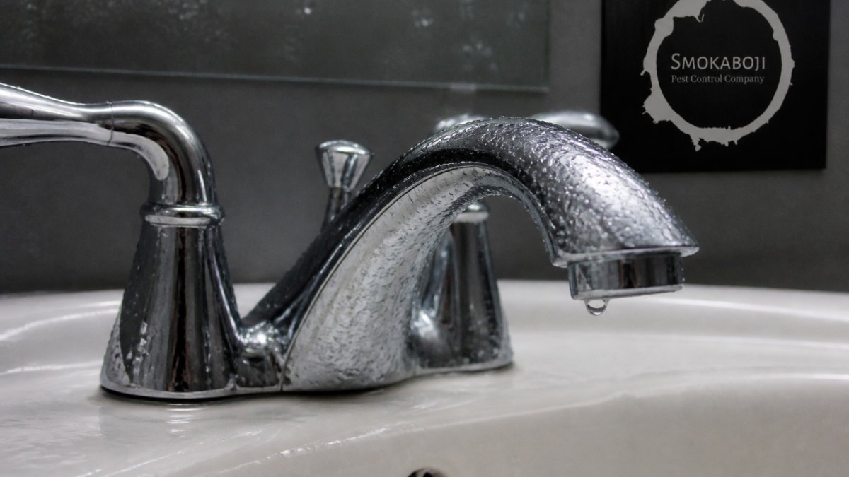 Close-up of bathroom sink faucet with water droplets and moisture condensation on chrome fixture, showing the damp environment where springtails thrive
