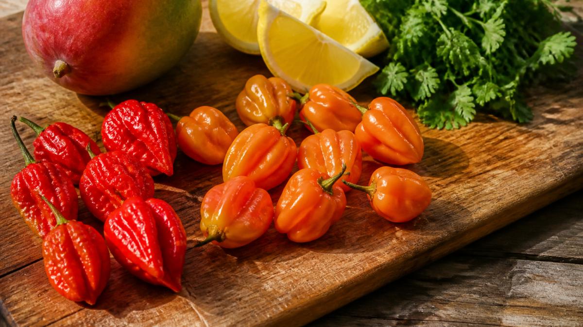Close-up of fresh ghost peppers, habanero chillies, ripe mango, lemon wedges, and coriander leaves arranged on a rustic wooden board with soft natural morning light