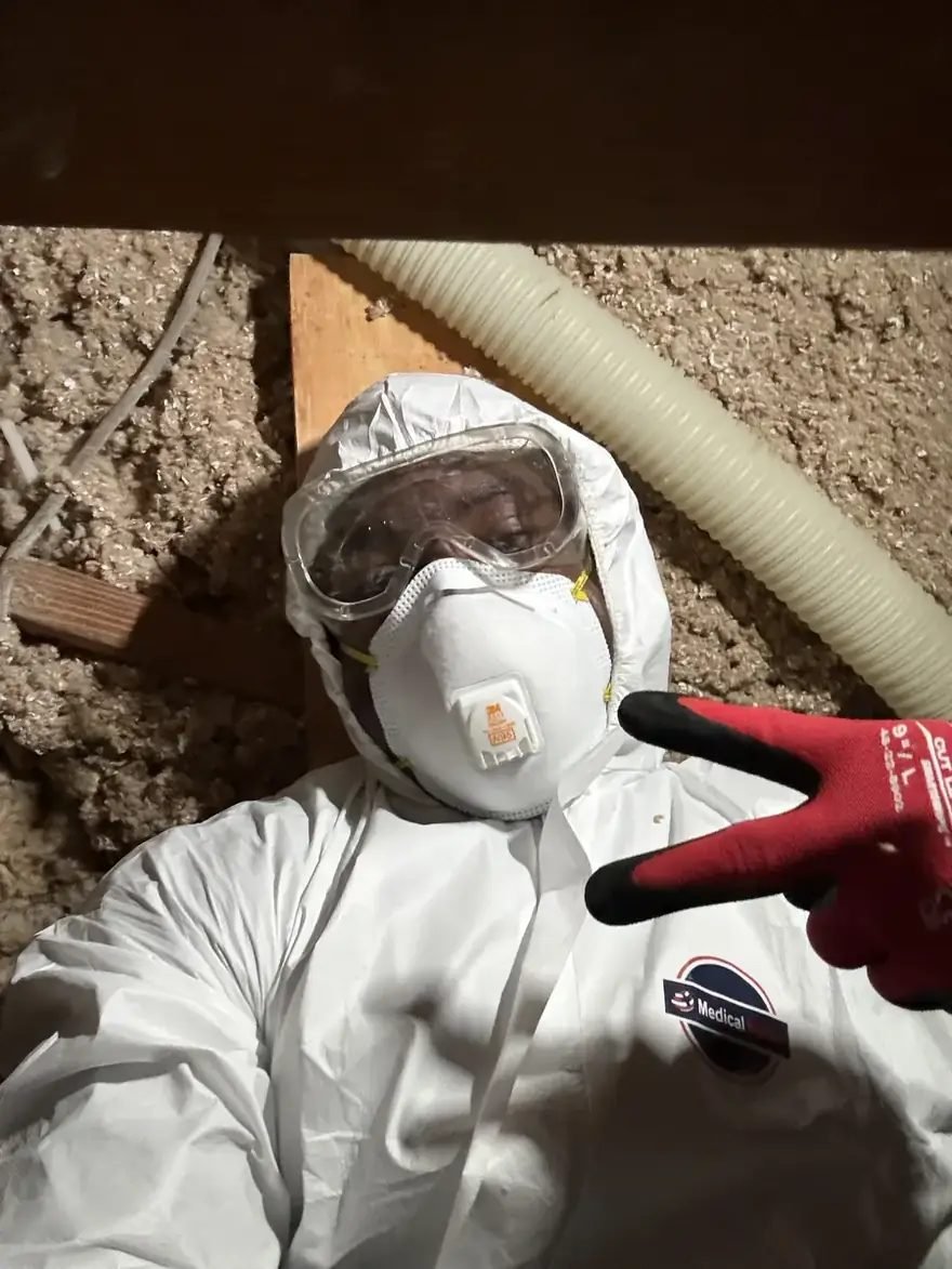 Attic Insulation Ppe