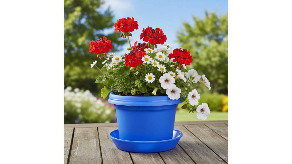 Austin Planter Pots with Matching Saucers or Hangers, red white and blue