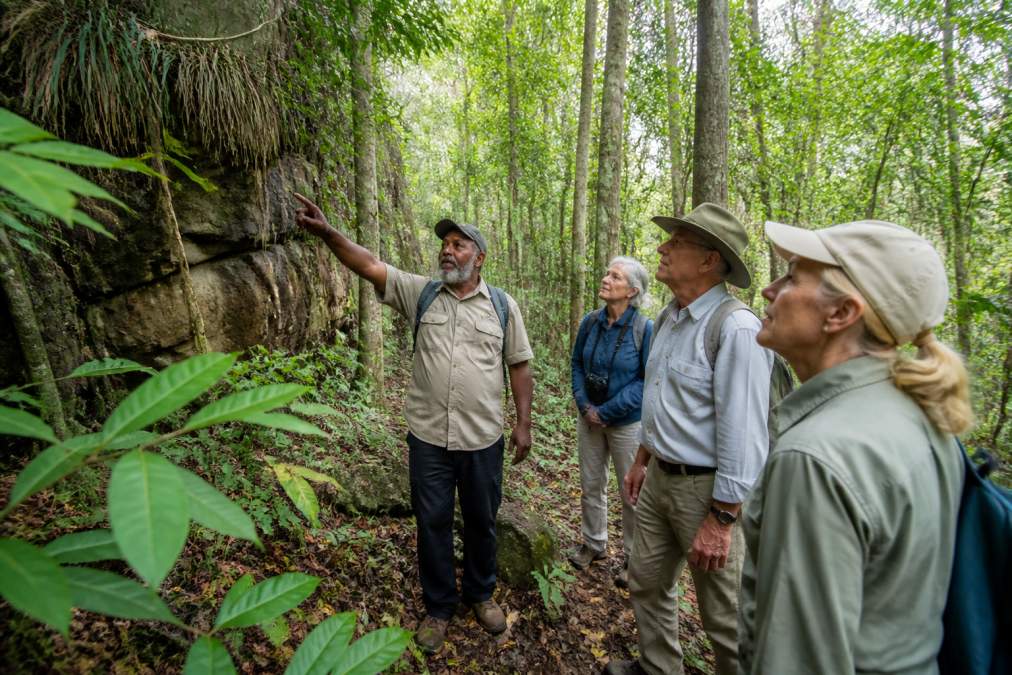 Indigenous guide leading a small group of mature travellers through lush green rainforest canopy, pointing to native plants and rock formations, soft natural light filtering through the trees