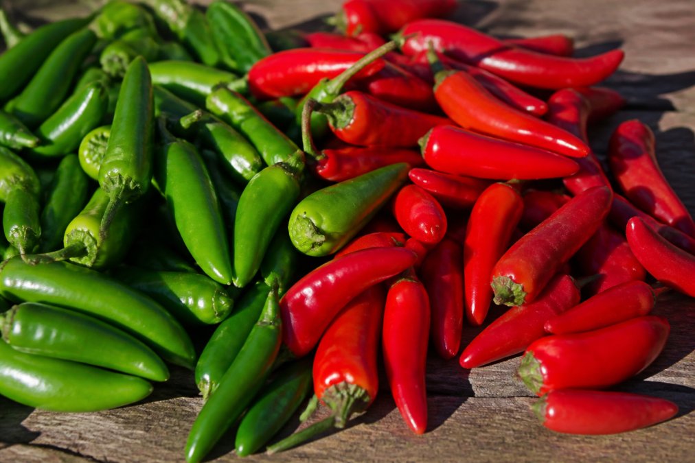 Close-up of vibrant red and green chiles arranged on a rustic wooden surface in natural sunlight, showing the distinctive color contrast and texture differences of fresh, vine-ripened peppers