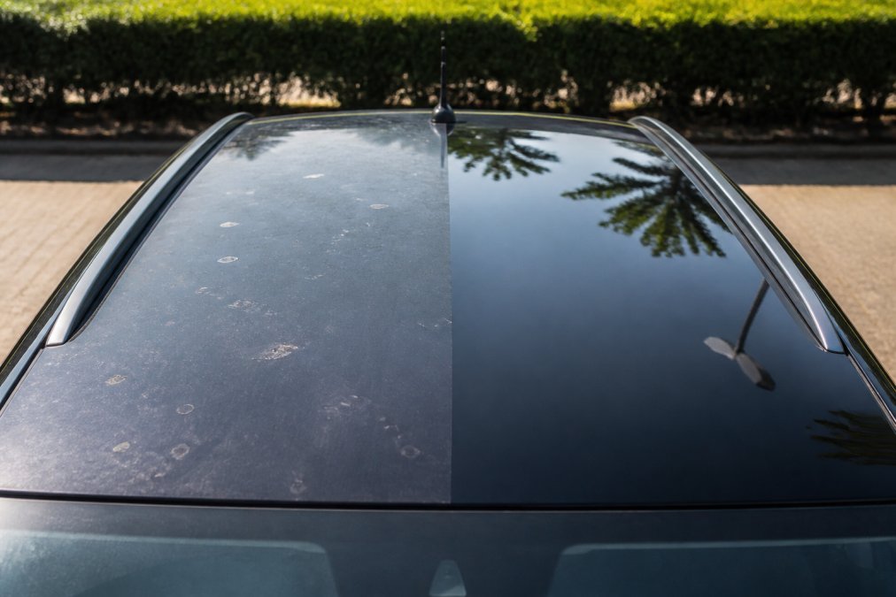 Voor-en-na vergelijking van een autodak: linker helft mat en dof met vogelpoepsporen, rechter helft glanzend en hydrofobe na keramische coating, onder helder daglicht