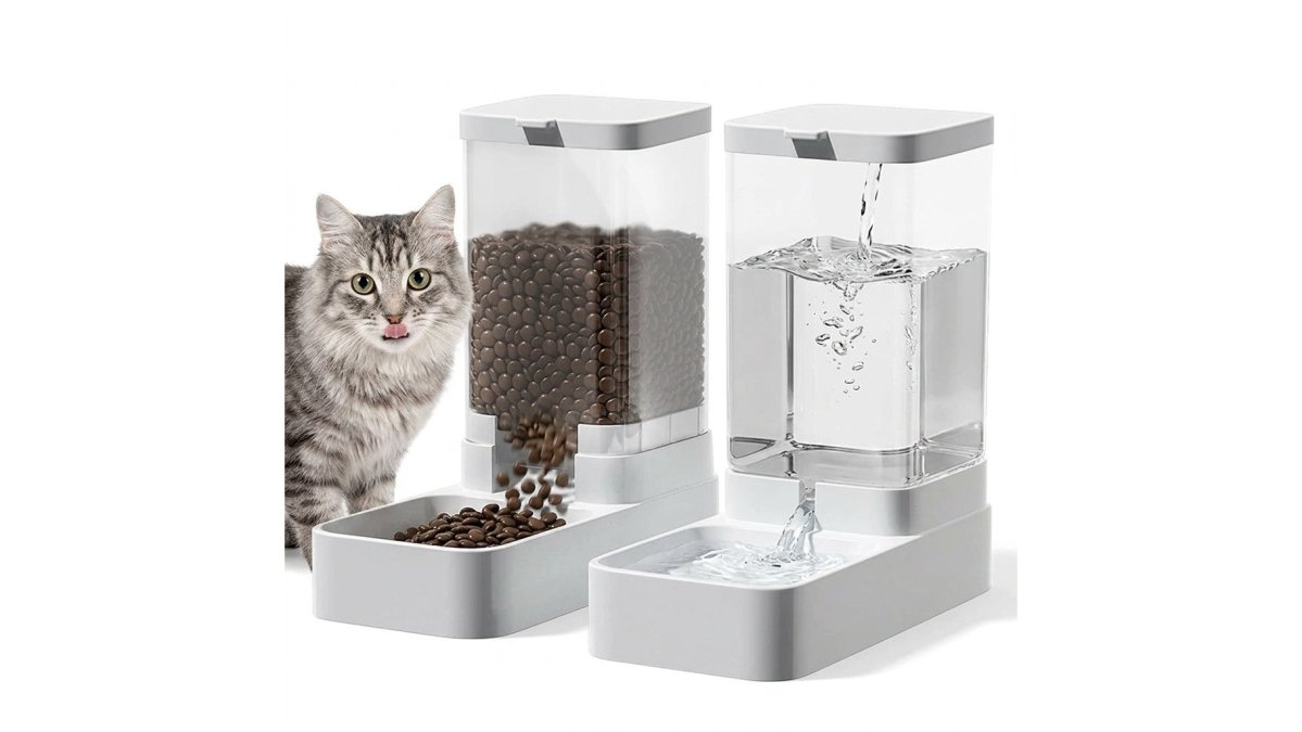 Automatic Pet Feeder and Water Dispenser