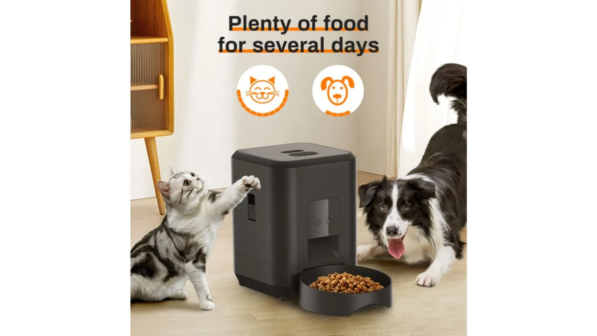 Automatic Pet Feeder
