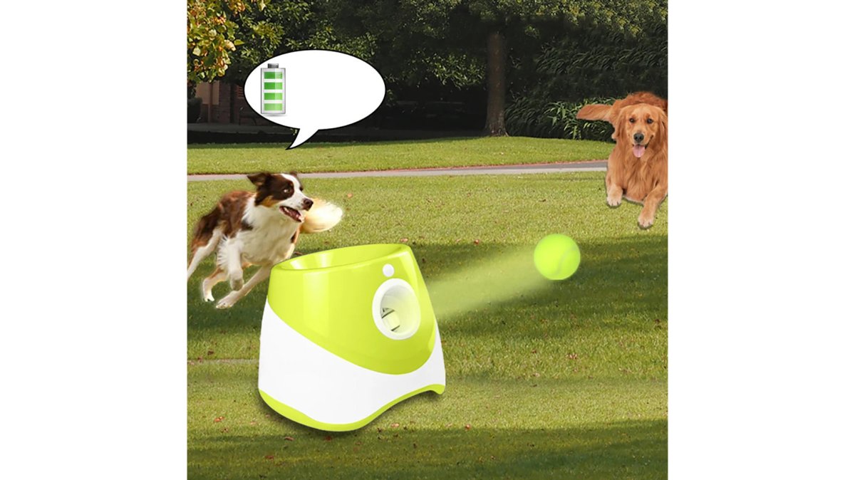 Energetic black Labrador retriever playing indoors on tile floor with automatic ball launcher launching tennis ball in bright living room with white walls
