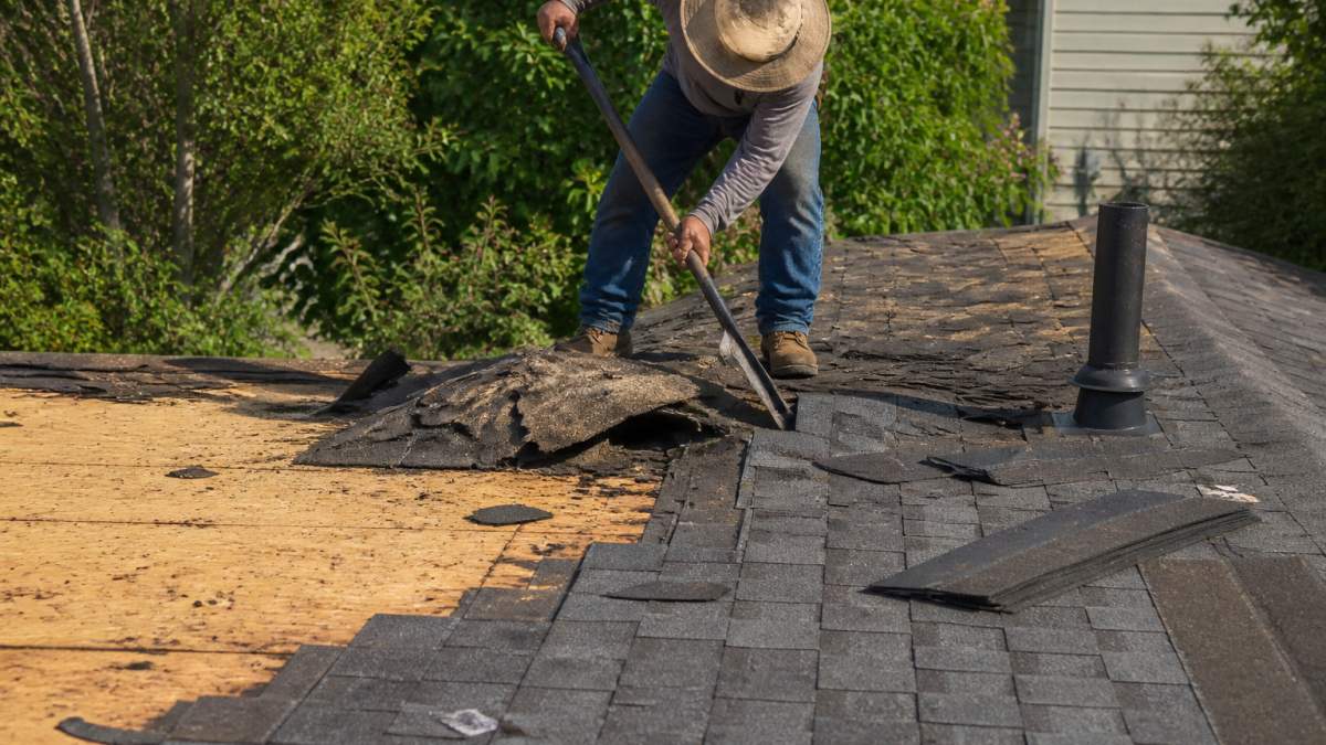 Average Cost to Replace an Asphalt Roof: 2026 Guide