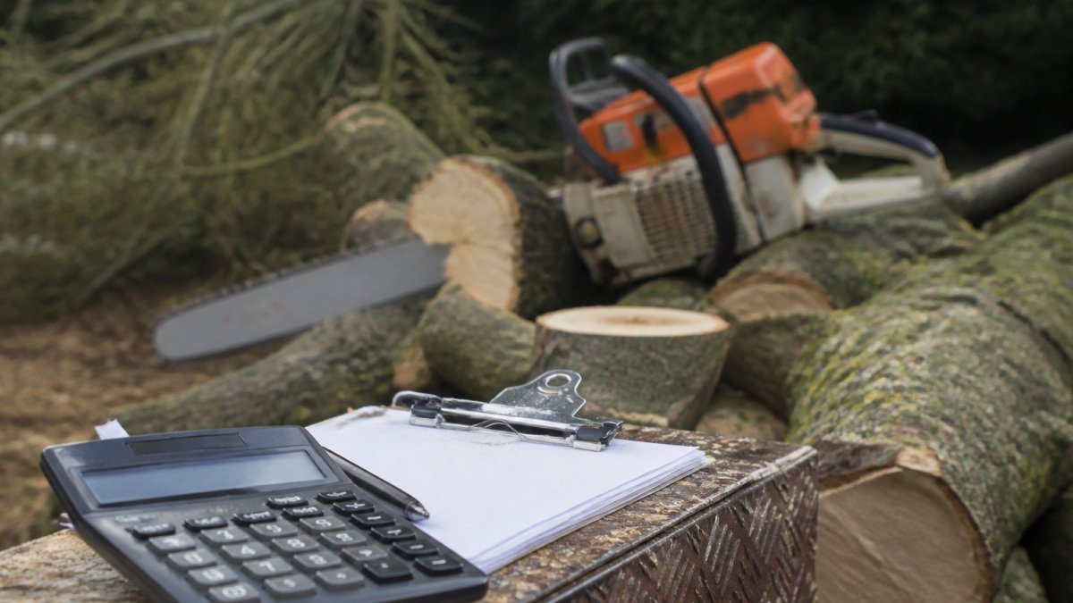 Avoid Hidden Tree Surgery Costs: A Practical Guide