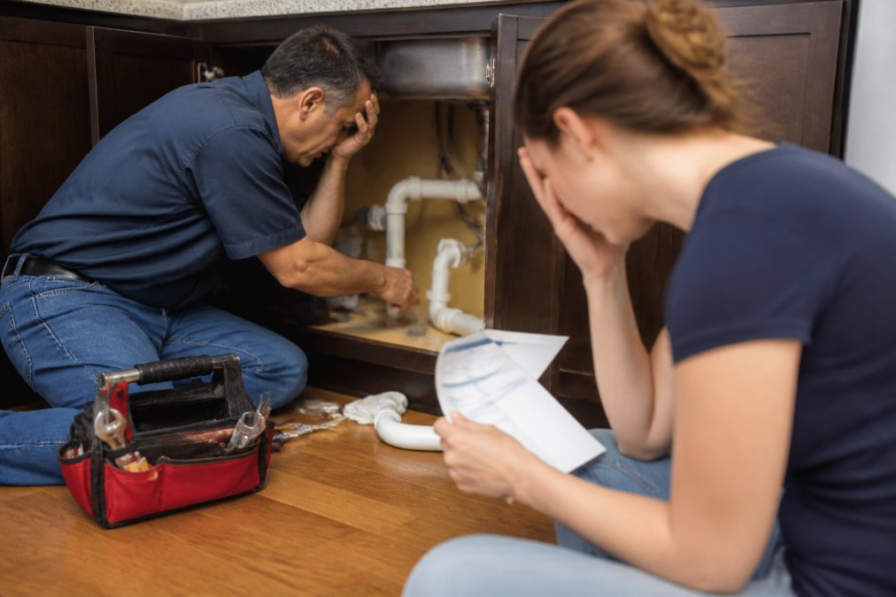 Avoiding Surprise Plumbing Repair Costs: A Homeowner's Guide