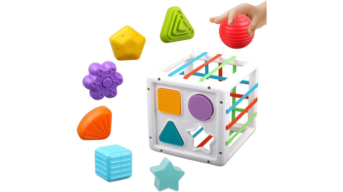 Baby Toys 6-12 Months, Shape Sorter Blocks Toy,Montessori Learning Toys for 1 Year Old Boys Girls Christmas Gifts