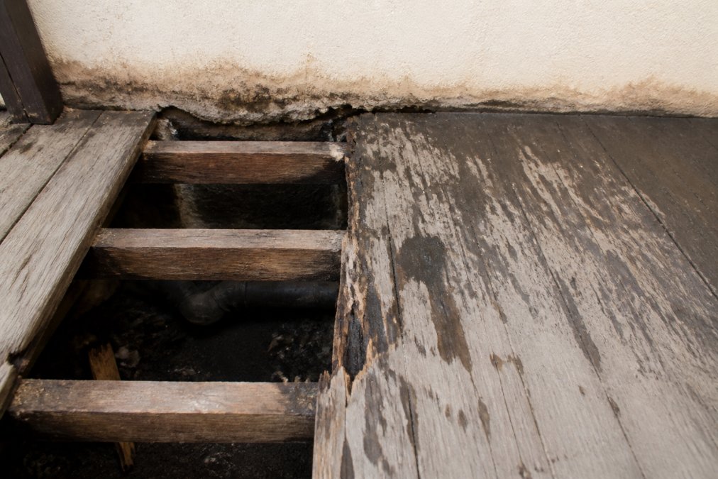 Close-up of deteriorated wooden deck surface showing water damage staining, visible moisture penetration, and exposed structural framing with peeling finish under natural daylight