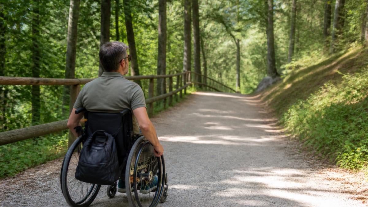 Eine Person im Rollstuhl genießt einen breiten, befestigten Waldweg mit sanfter Steigung, umgeben von grünen Bäumen und weichem Sonnenlicht