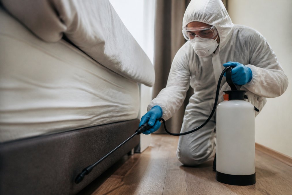 Bed Bug Extermination Process for Homes: 2026 Guide