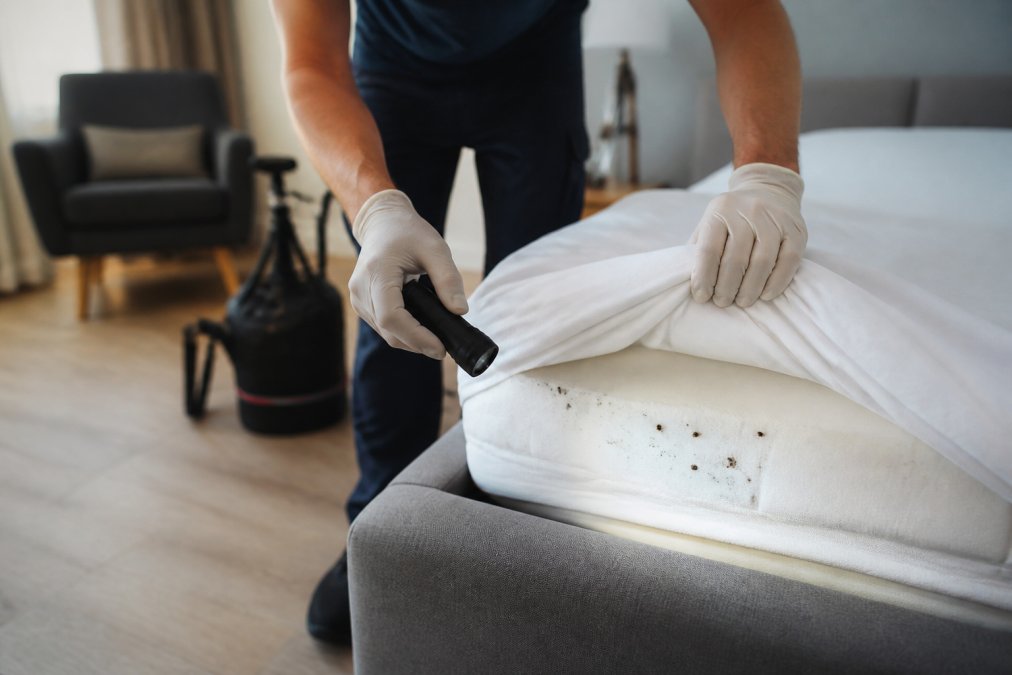 Bed Bug Treatment Guarantee Explained