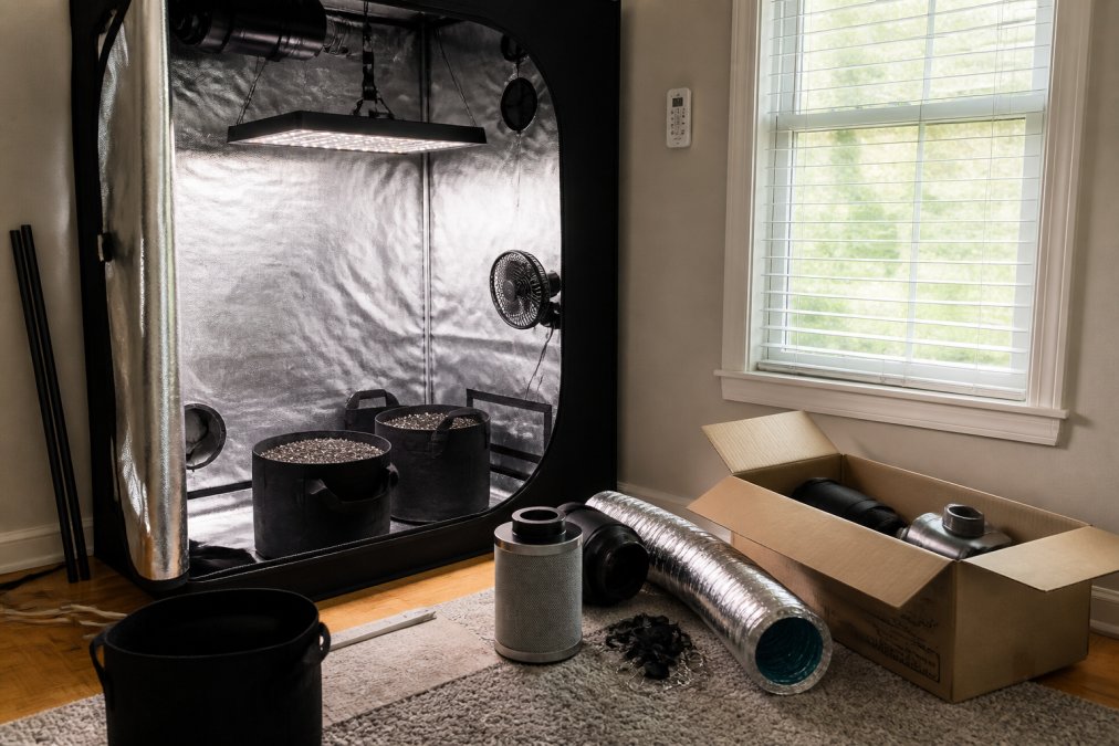 A small indoor grow tent set up in a spare room with an LED grow light, fabric pots, and a small oscillating fan, tidy and organized with a thermometer hygrometer visible