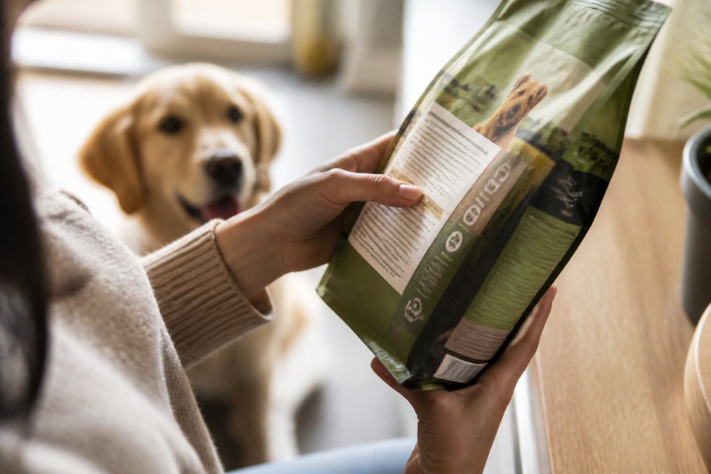 Close-up of hands carefully examining a pet product's label and ingredient list, with natural sunlight illuminating the packaging details and transparency information