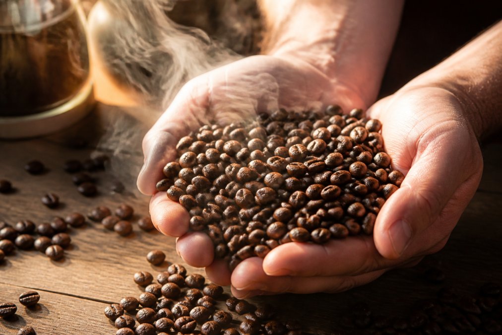 Close-up of hands holding freshly roasted whole coffee beans with visible sheen and rich brown color, steam rising from the beans on a wooden surface in natural morning light