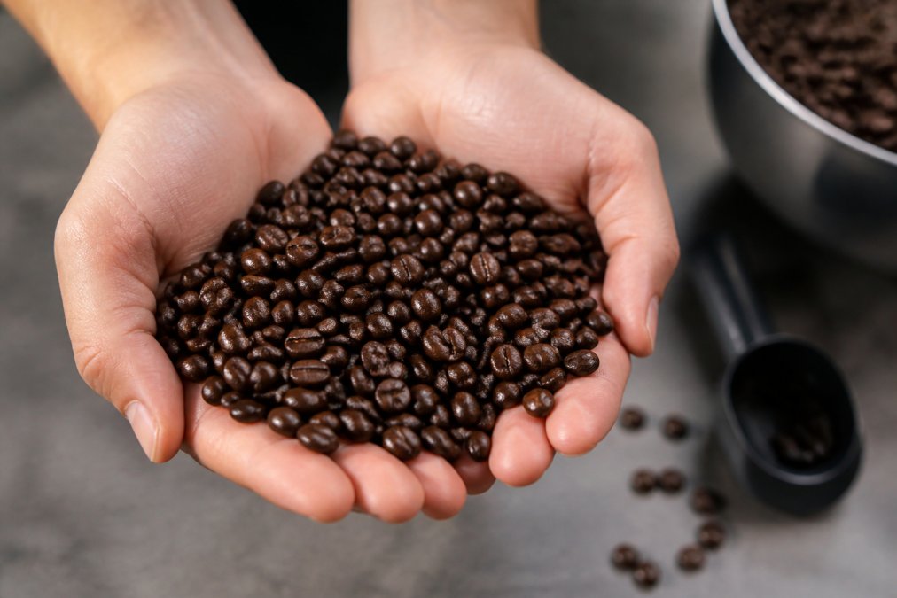 Close-up of freshly roasted coffee beans displaying glossy, rich dark surface with vibrant coloring, held in hands against a neutral background with soft natural lighting