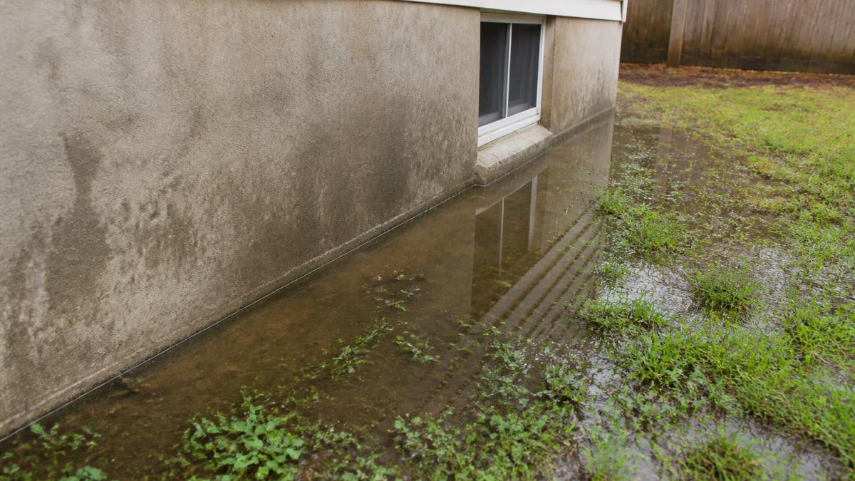 Standing water pooling near a residential foundation wall and basement exterior, showing moisture accumulation against the home's base during wet conditions