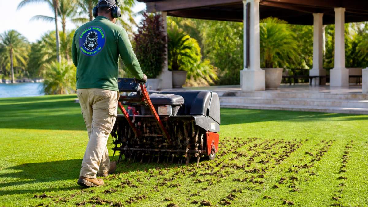 Landscaper using a core aerator for lawn aeration on a sunny day with soil plugs scattered on the grass