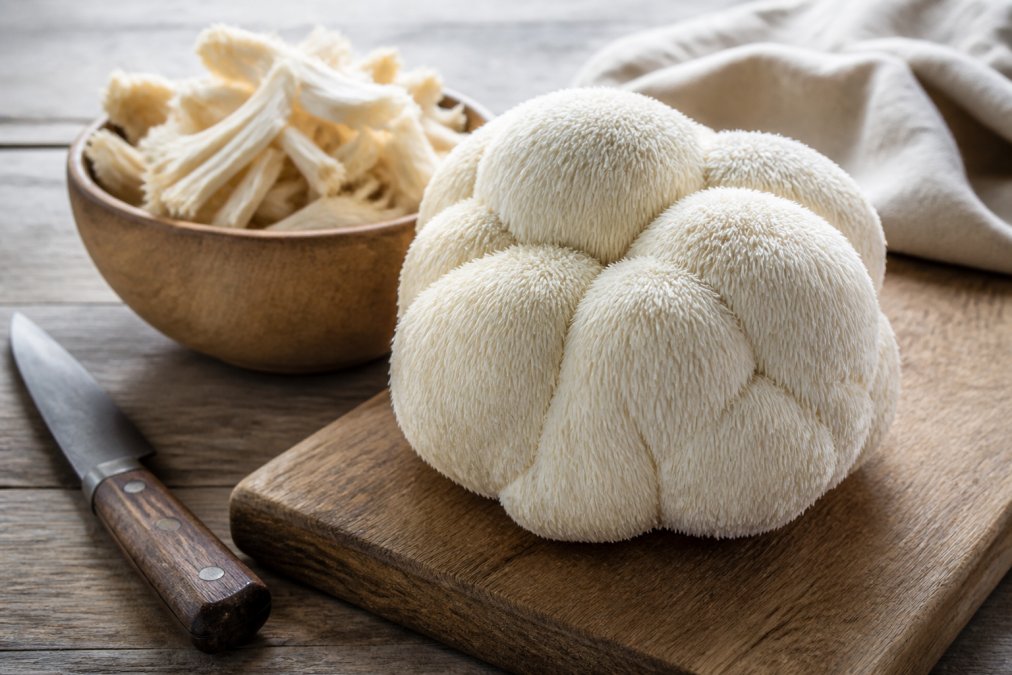 Benefits of Lion's Mane for Exercise Recovery