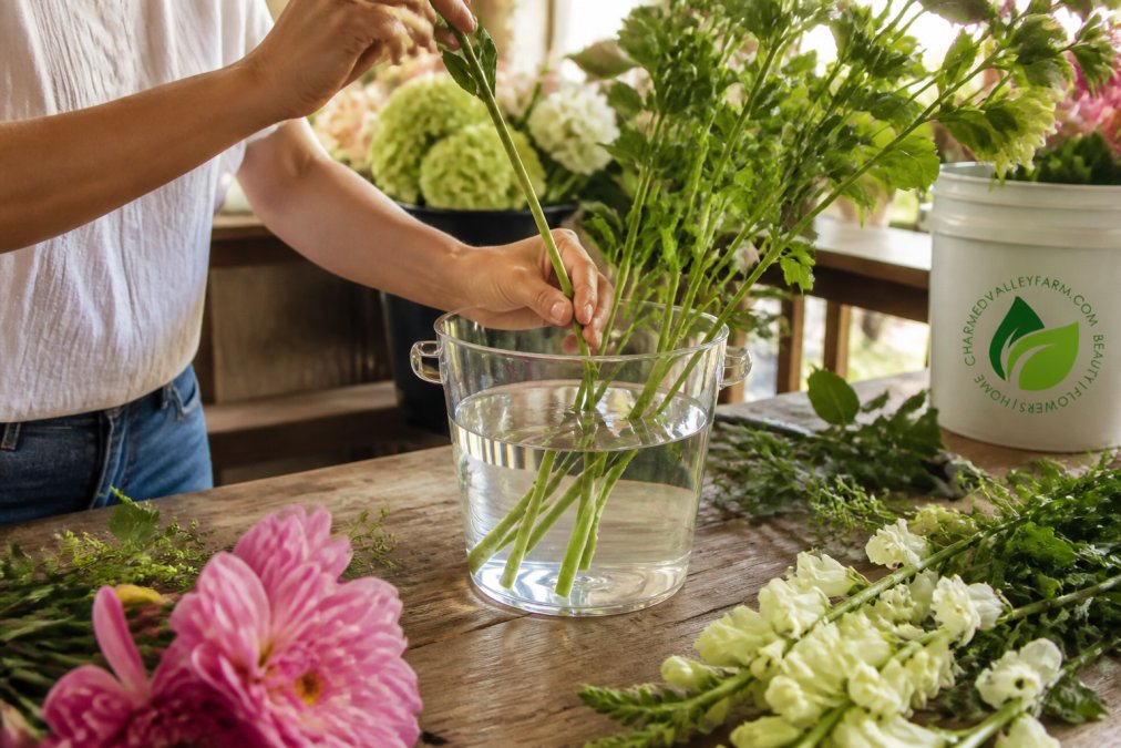 Hands arranging fresh-cut stems in a clear glass bucket filled with cool water, showing proper diagonal stem cuts and the removal of lower leaves, with a farm table and natural morning light in the background
