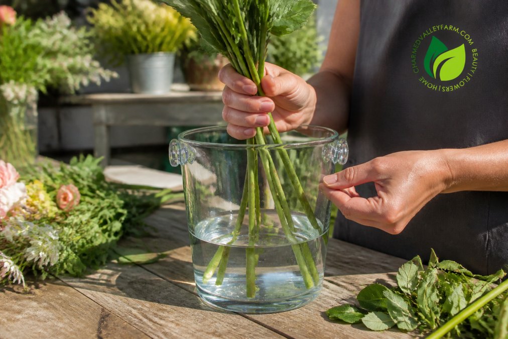 Visual roadmap for Hands arranging fresh-cut stems in a clear glass bucket filled with cool water, showing proper di...