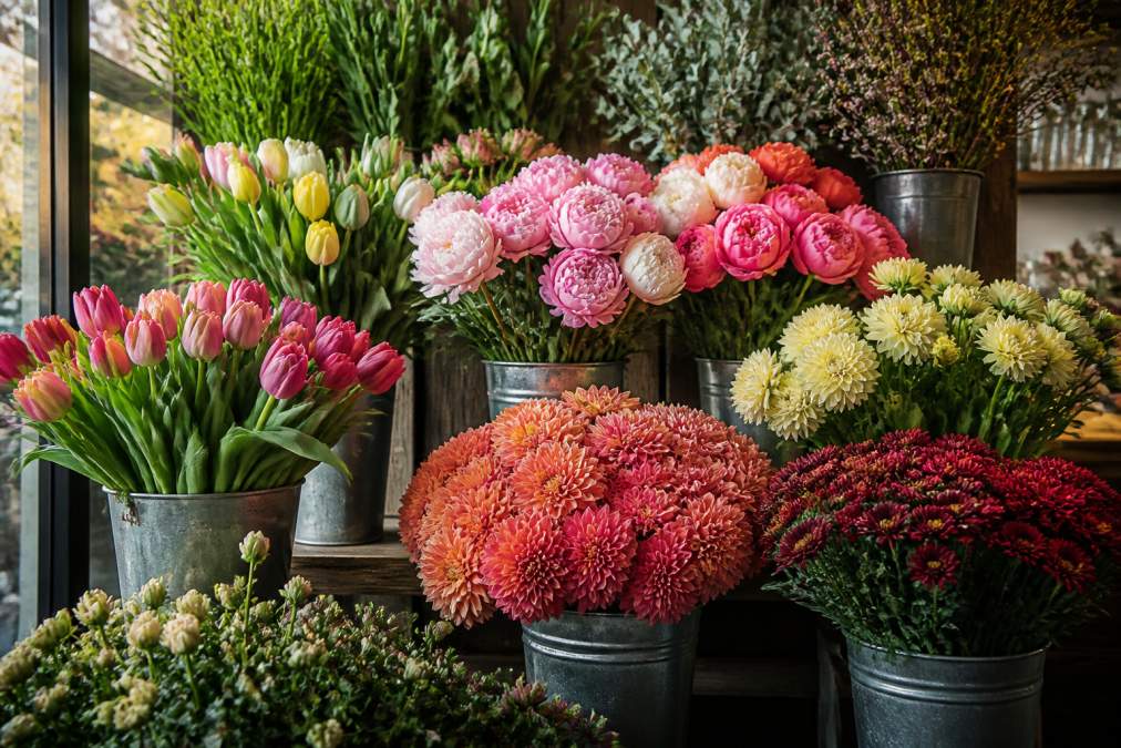 A seasonal flower display in a local shop with labeled buckets of tulips, peonies, dahlias, and chrysanthemums arranged by season